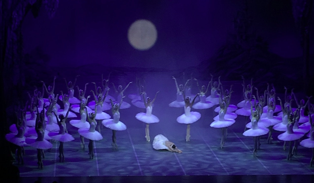 Swan_Lake_48_03